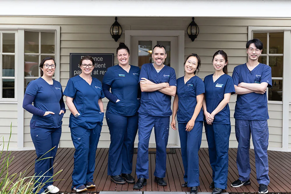 The Smile Place dental team