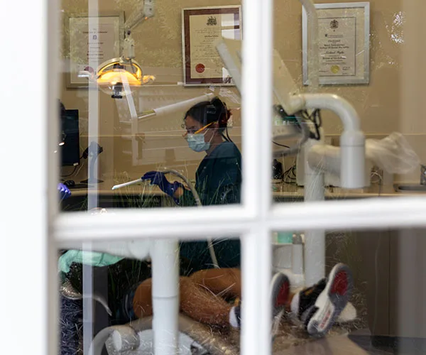 Dental care viewed through the practice window